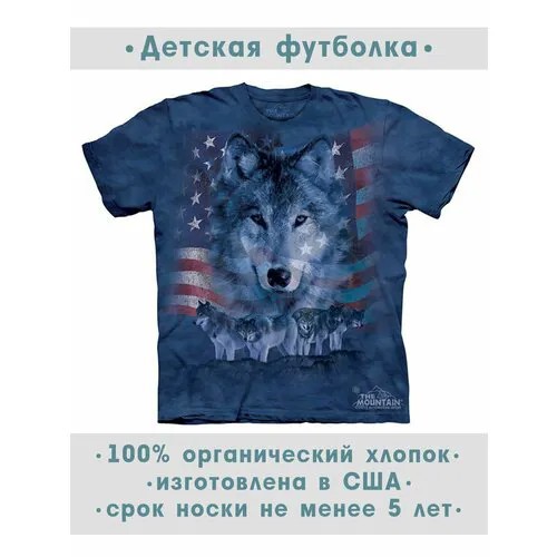 Футболка The Mountain, размер S-Y, синий