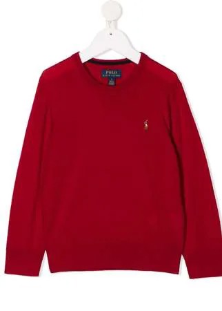Ralph Lauren Kids джемпер с вышитым логотипом