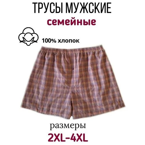 Трусы Vanita Courage, размер 4XL/58, фиолетовый, мультиколор