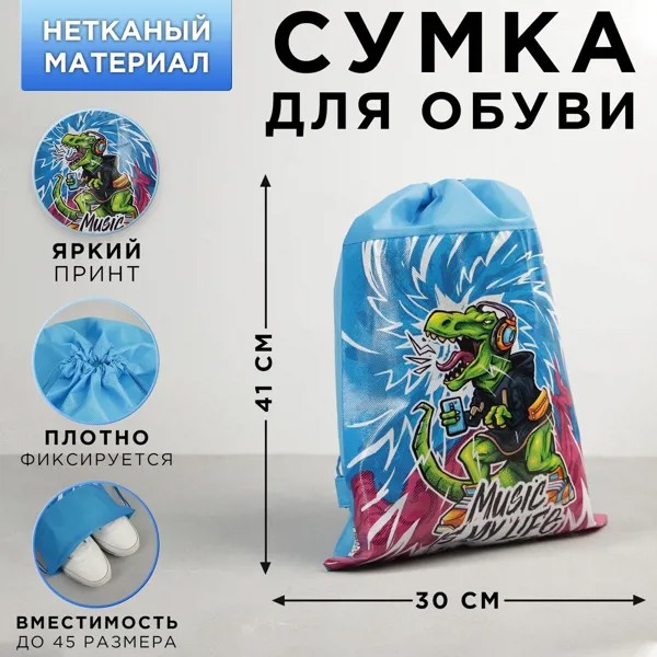 Сумка для обуви music is my life, 41х30 см