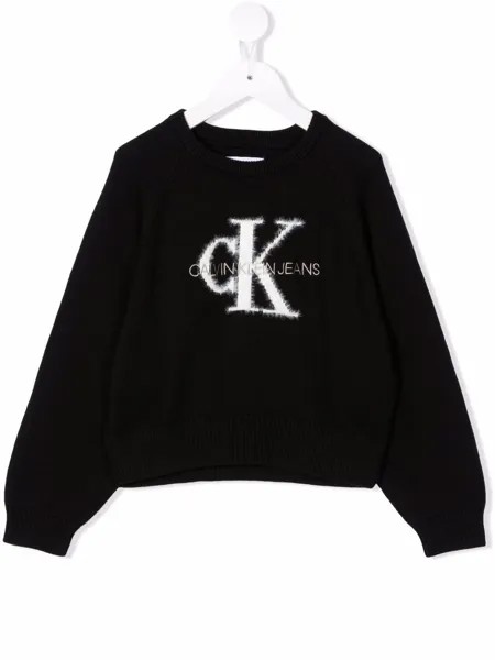 Calvin Klein Kids толстовка с логотипом