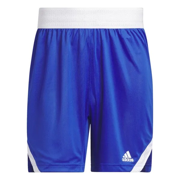 Обычные тренировочные брюки ADIDAS PERFORMANCE, синий