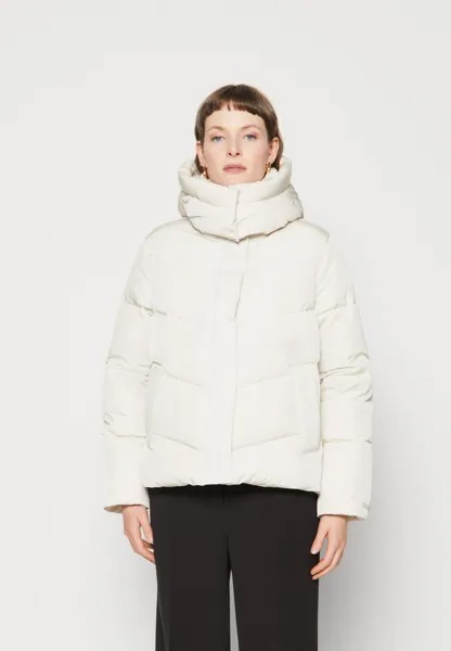 Зимняя куртка Calvin Klein MODERN PADDED JACKET, цвет rainy day
