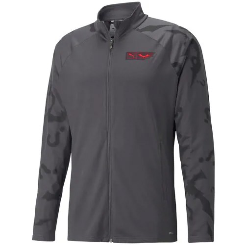 Олимпийка/Puma/65802404/PUMA x BATMAN Training Jacke/серый/S