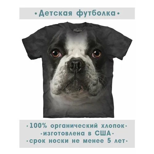 Футболка The Mountain, размер S-Y, серый