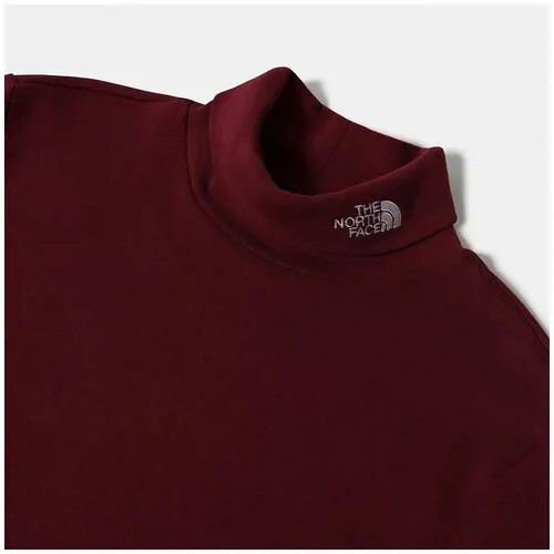 Лонгслив The North Face Black Box DNC Longsleeve T-Shirt Regal Red / S