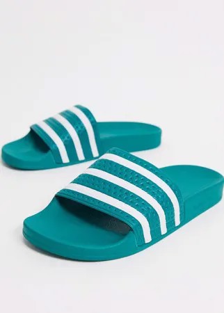 Шлепанцы зеленого/белого цвета adidas Originals Adilette-Зеленый