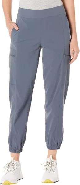 Джоггеры Dynama Mountain Hardwear, цвет Blue Slate