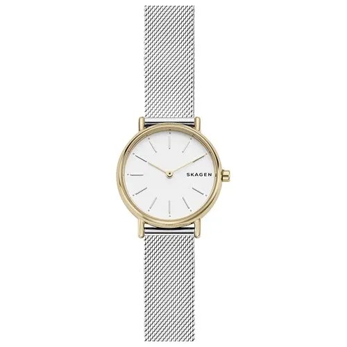 Наручные часы SKAGEN SKW2729, серебряный