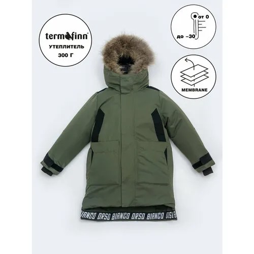 Парка Orso Bianco, размер 122, зеленый, черный