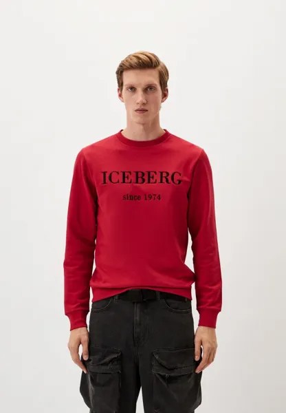 Свитшот Iceberg