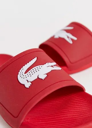 Красные шлепанцы Lacoste-Красный