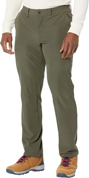 Брюки Paramount Pants The North Face, цвет New Taupe Green