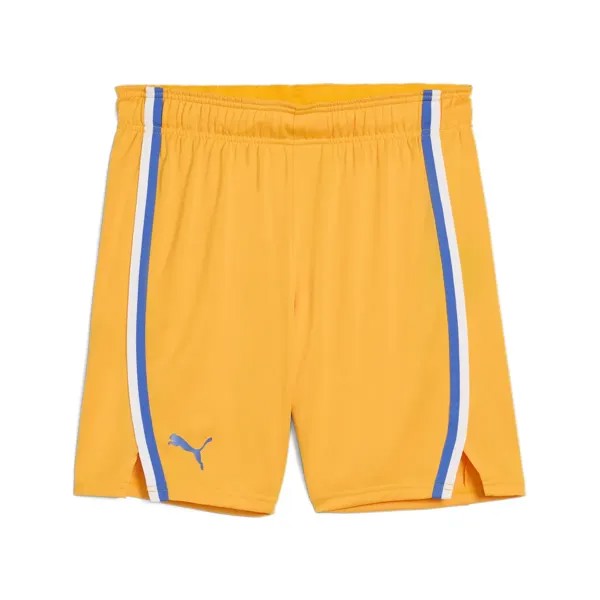 Шорты PUMA 