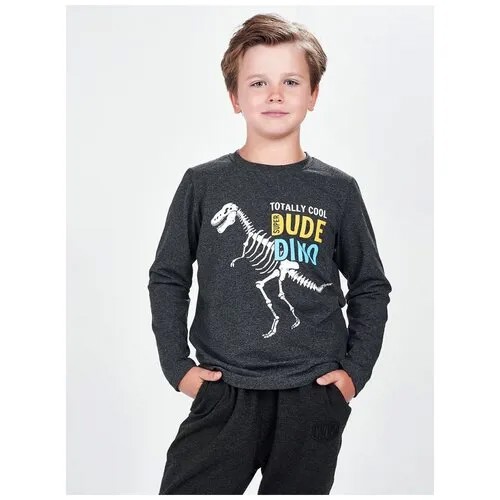 Лонгслив для мальчиков Mini Maxi, модель 6092, цвет черный, размер 110