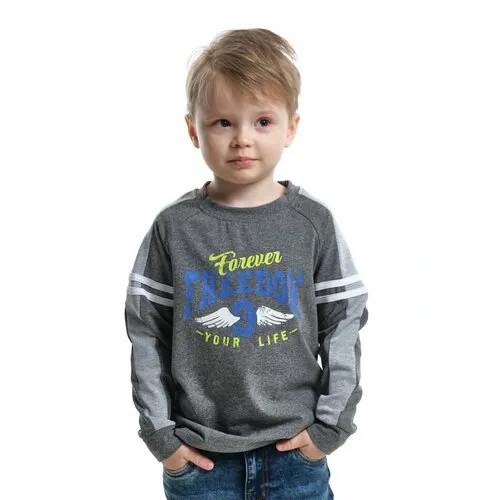 Лонгслив Mini Maxi, хлопок, размер 98, серый