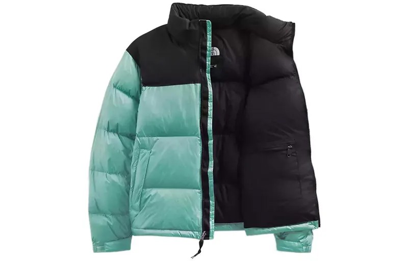 THE NORTH FACE Мужской пуховик, Многоцветный
