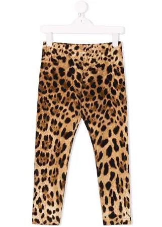 Dolce & Gabbana Kids леггинсы с леопардовым принтом
