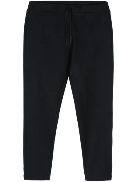 Loro Piana спортивные брюки Holburn, синий