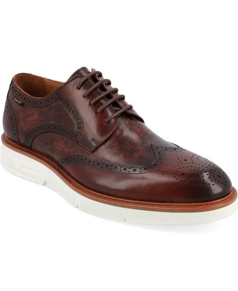 Мужские оксфорды Model 103 Wingtip Taft, цвет Espresso