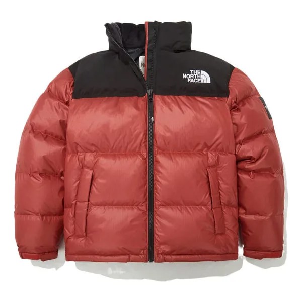 Пуховик THE NORTH FACE FW22 Novelty Nuptse Down Jacket