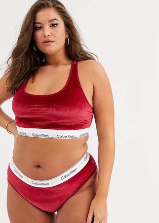 Хлопковый бархатный бралетт в рубчик большого размера Calvin Klein-Фиолетовый