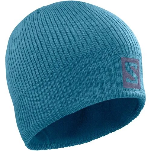 Шапка Salomon 2021-22 Logo Beanie Mallard Blue/Legion Bl