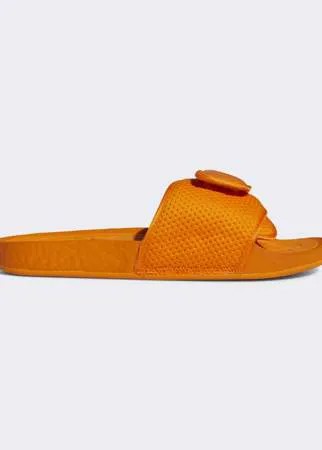Шлепанцы Pharrell Williams Chancletas HU adidas Originals