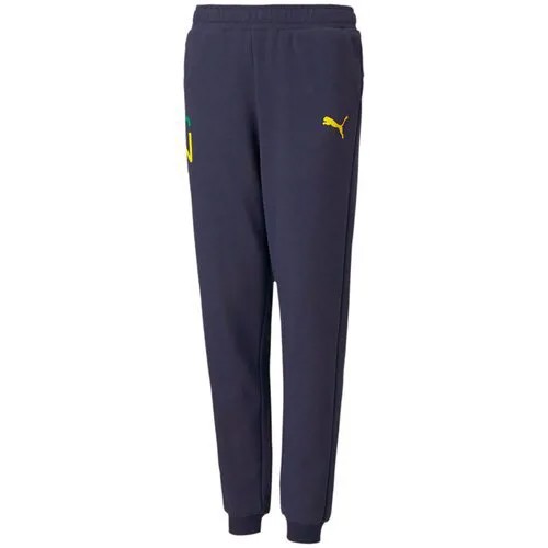 Брюки Puma NEYMAR JR HERO Sweat Pants Jr Peacoat-Da Синий 116 60554706