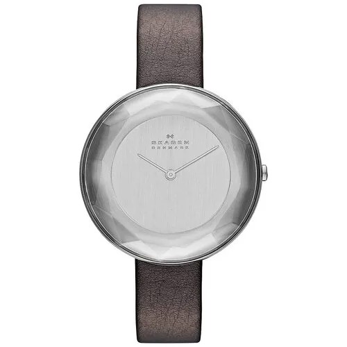 Наручные часы Skagen SKW2274