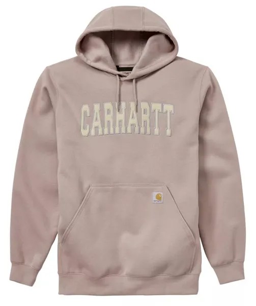 Мужская худи с графическим логотипом Carhartt Collegiate