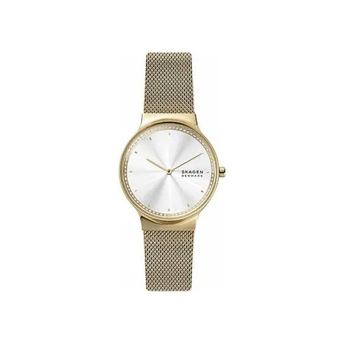 Наручные часы Skagen SKW3027