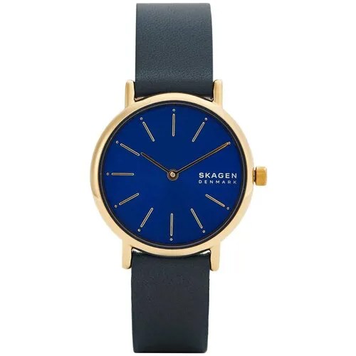 Наручные часы SKAGEN Наручные часы Skagen SKW2867, синий