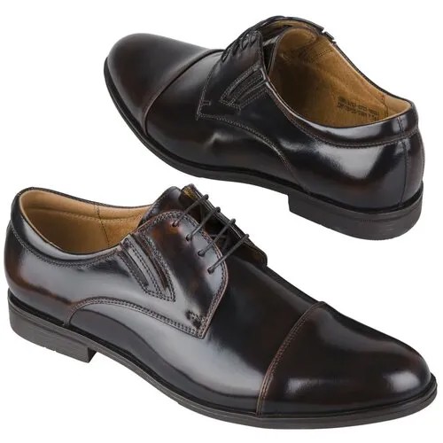 Кожаные мужские туфли черного цвета Conhpol C-6757--0017-00S02