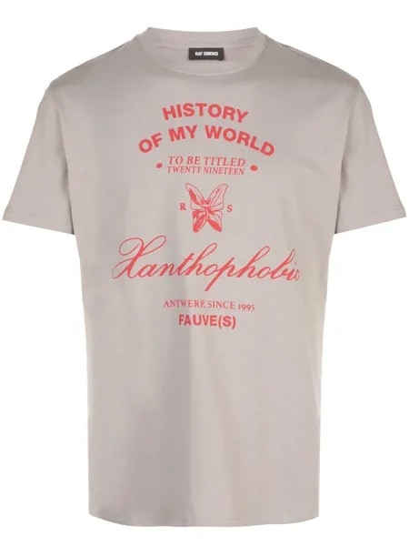 Raf Simons футболка с принтом Xanthophobic