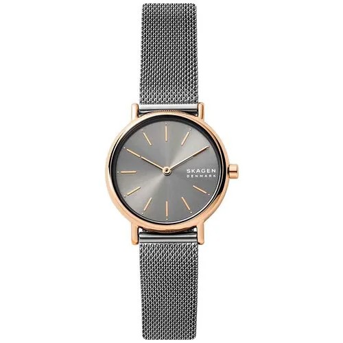 Наручные часы SKAGEN SKW2996, розовый, бежевый