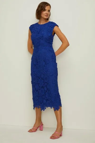 Кружевное платье-карандаш миди Oasis, синий