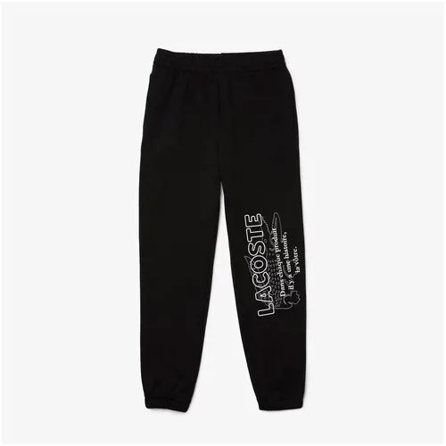 Спортивные брюки LACOSTE XF1163 031 T34