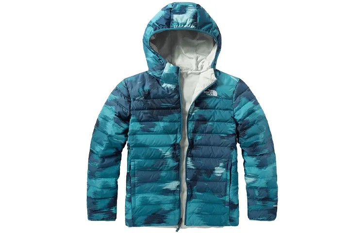 THE NORTH FACE Мужской пуховик, цвет Blue