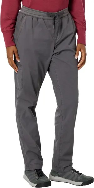 Брюки Ripstop на флисовой подкладке без застежки L.L.Bean, цвет Alloy Gray