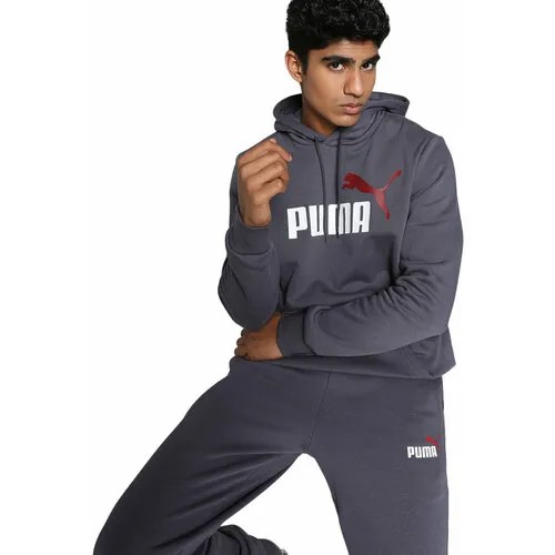 Худи PUMA ESSENTIALS+ 2 COL BIG LOGO FLEECE HOODIE, размер M, , серый