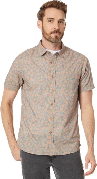 Рубашка VISSLA Alyssum Eco Short Sleeve Woven, цвет Clay