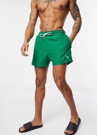 Зеленые пляжные шорты Hummel-Зеленый