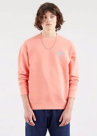 Relaxed Graphic Fleece