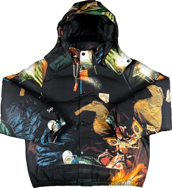 Куртка Supreme Firecracker Down Jacket 'Firecracker', разноцветный
