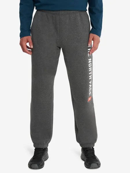 Брюки мужские The North Face Varsity Graphic, Серый