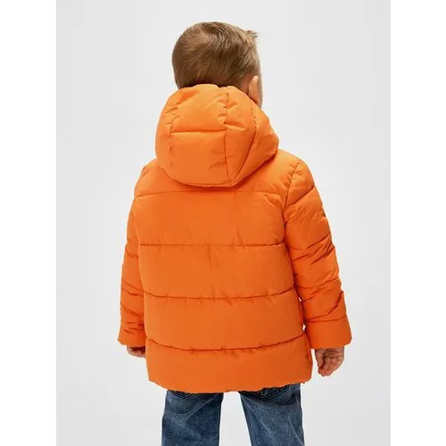 Куртка Acoola, размер 146, оранжевый