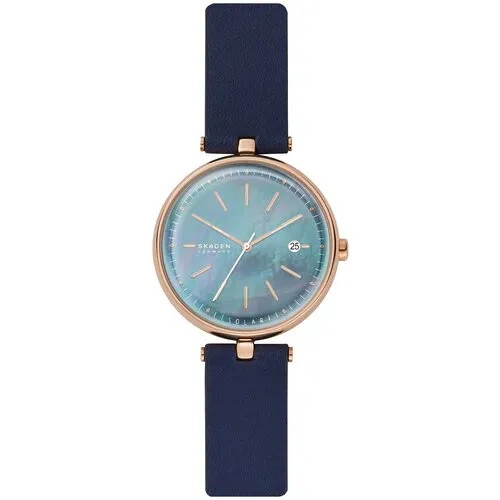 Наручные часы Skagen SKW2981