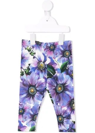 Dolce & Gabbana Kids легинсы Anemone с принтом