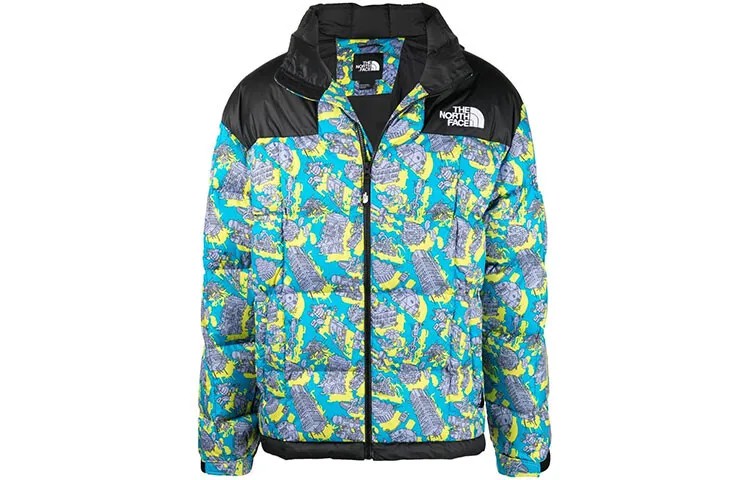 Коллекция 1990 года, пуховик мужской, многоцветный The North Face, цвет Multicolor